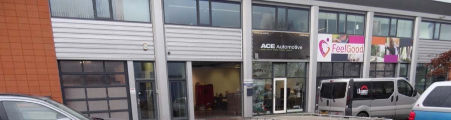 ACE Automotive pand