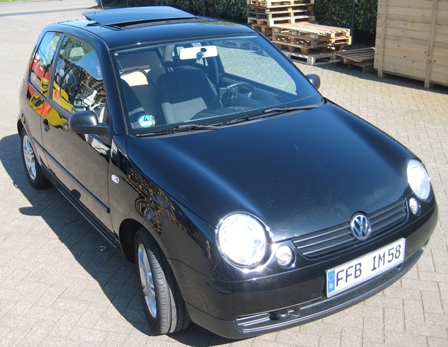 Lupo 